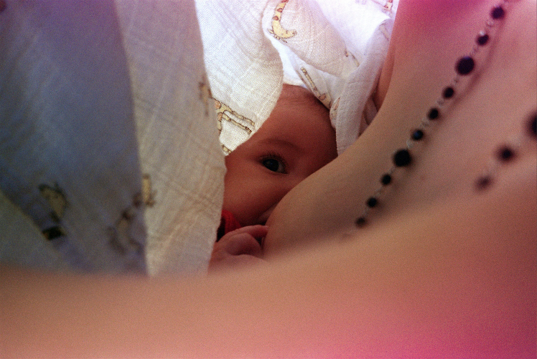 noelle photograph 6