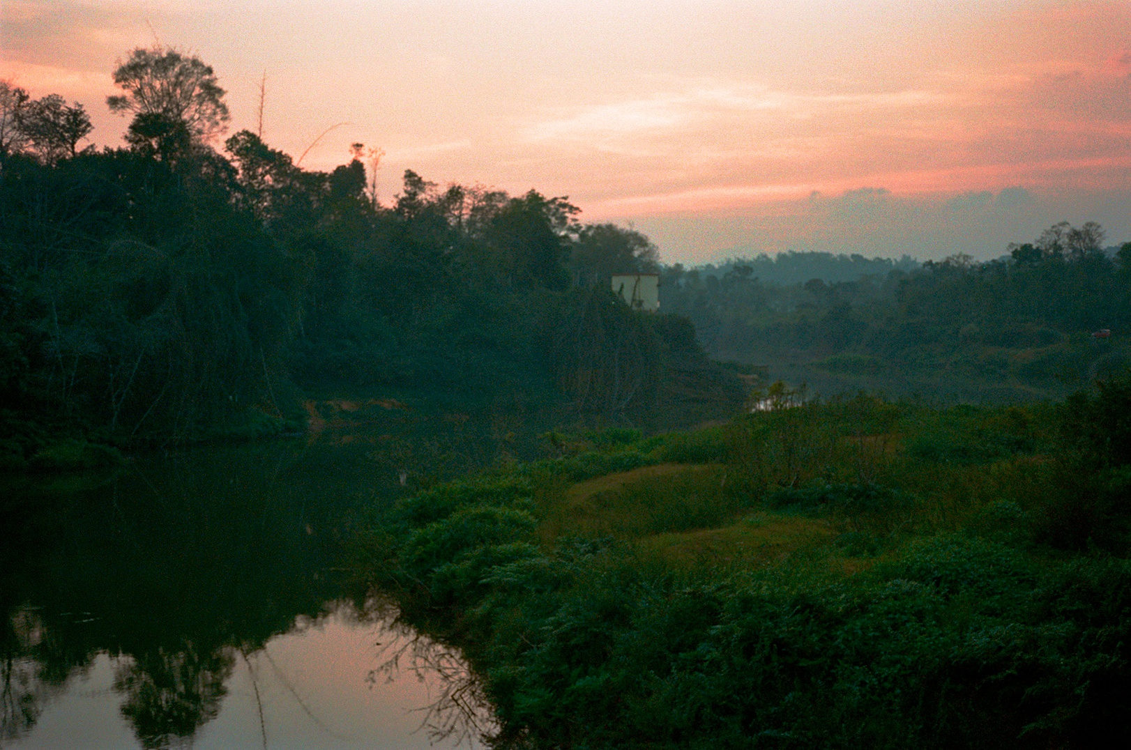 flora photograph 6