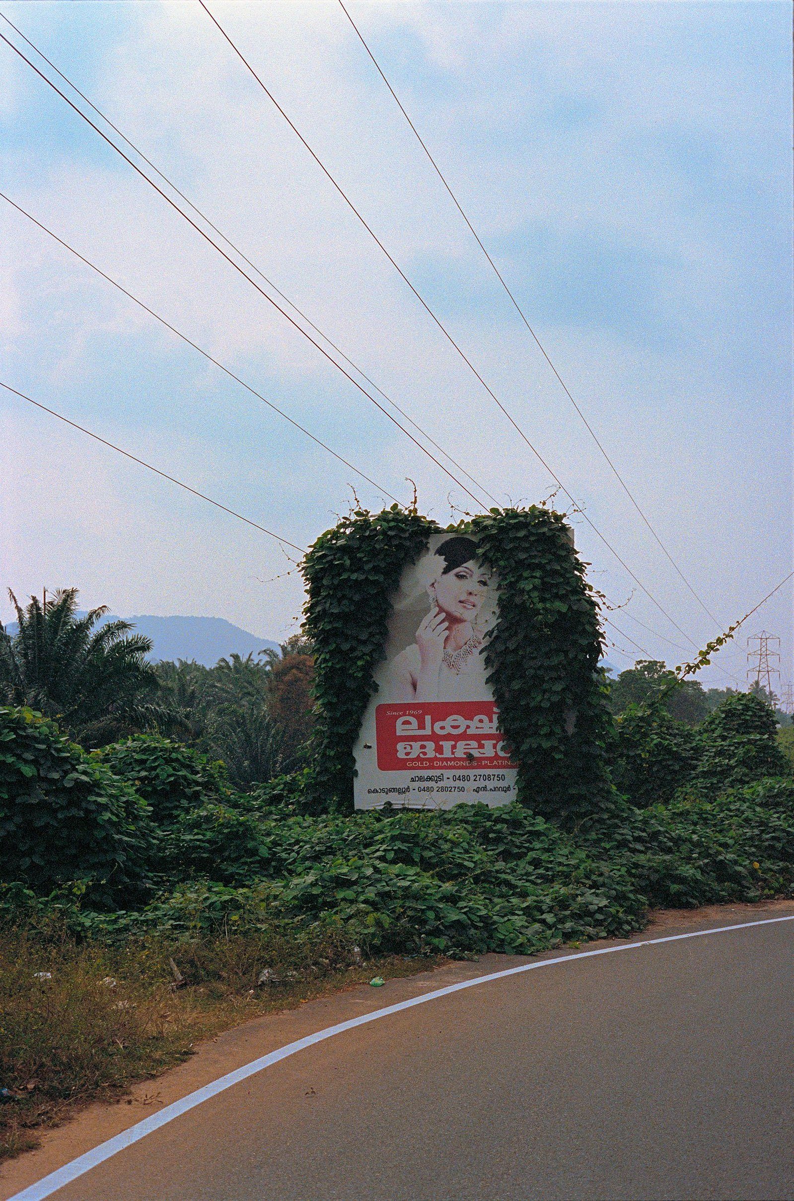 flora photograph 10