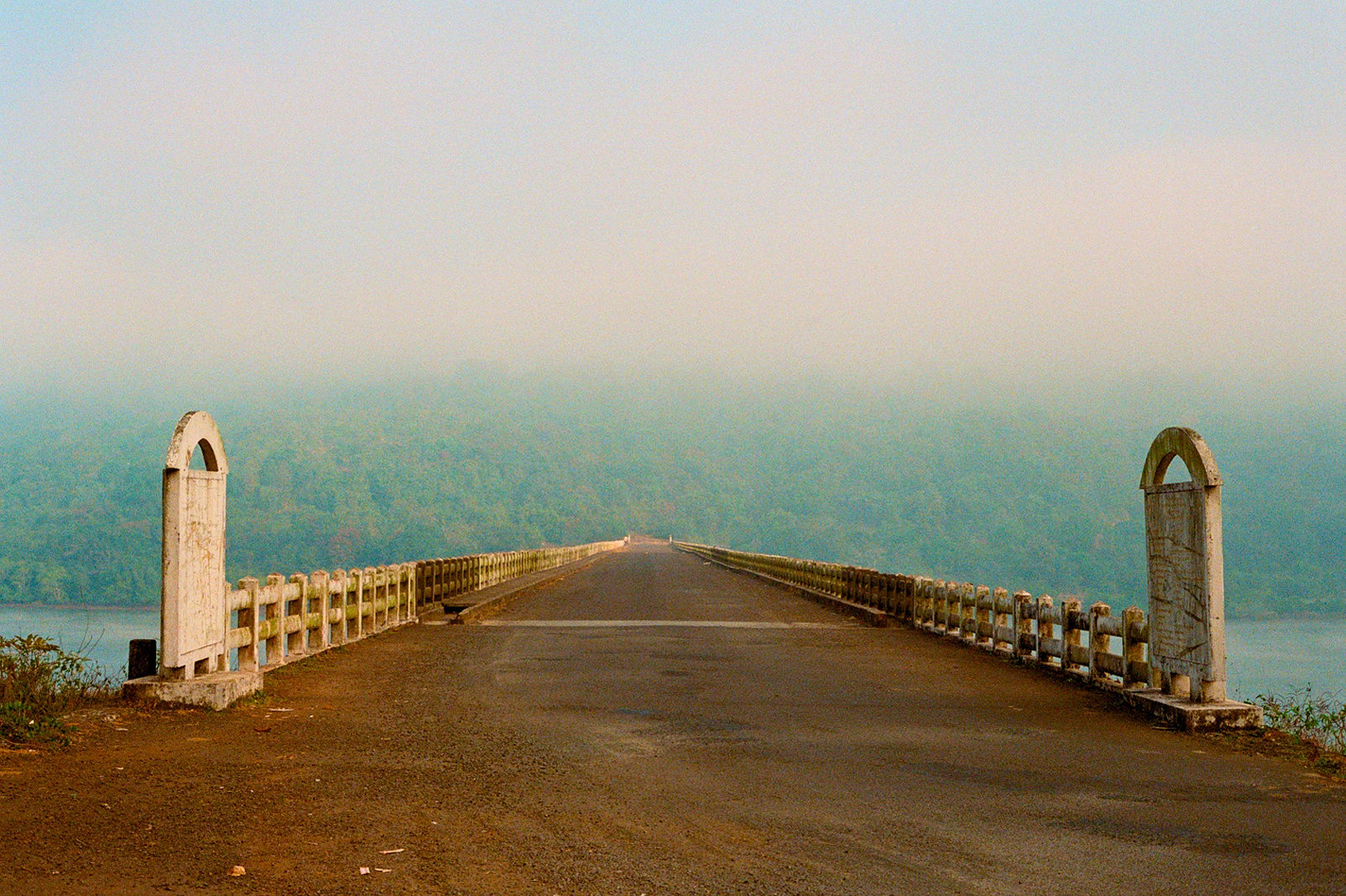 fantasia photograph 5