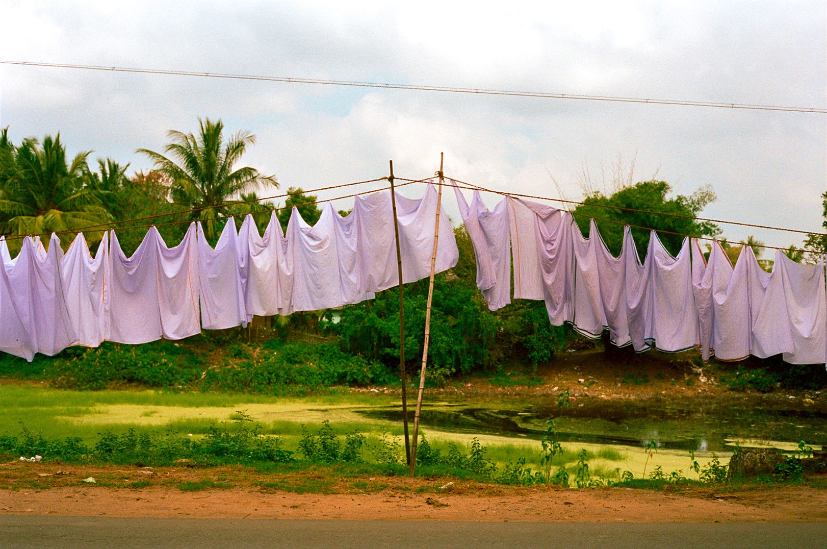 fantasia photograph 13