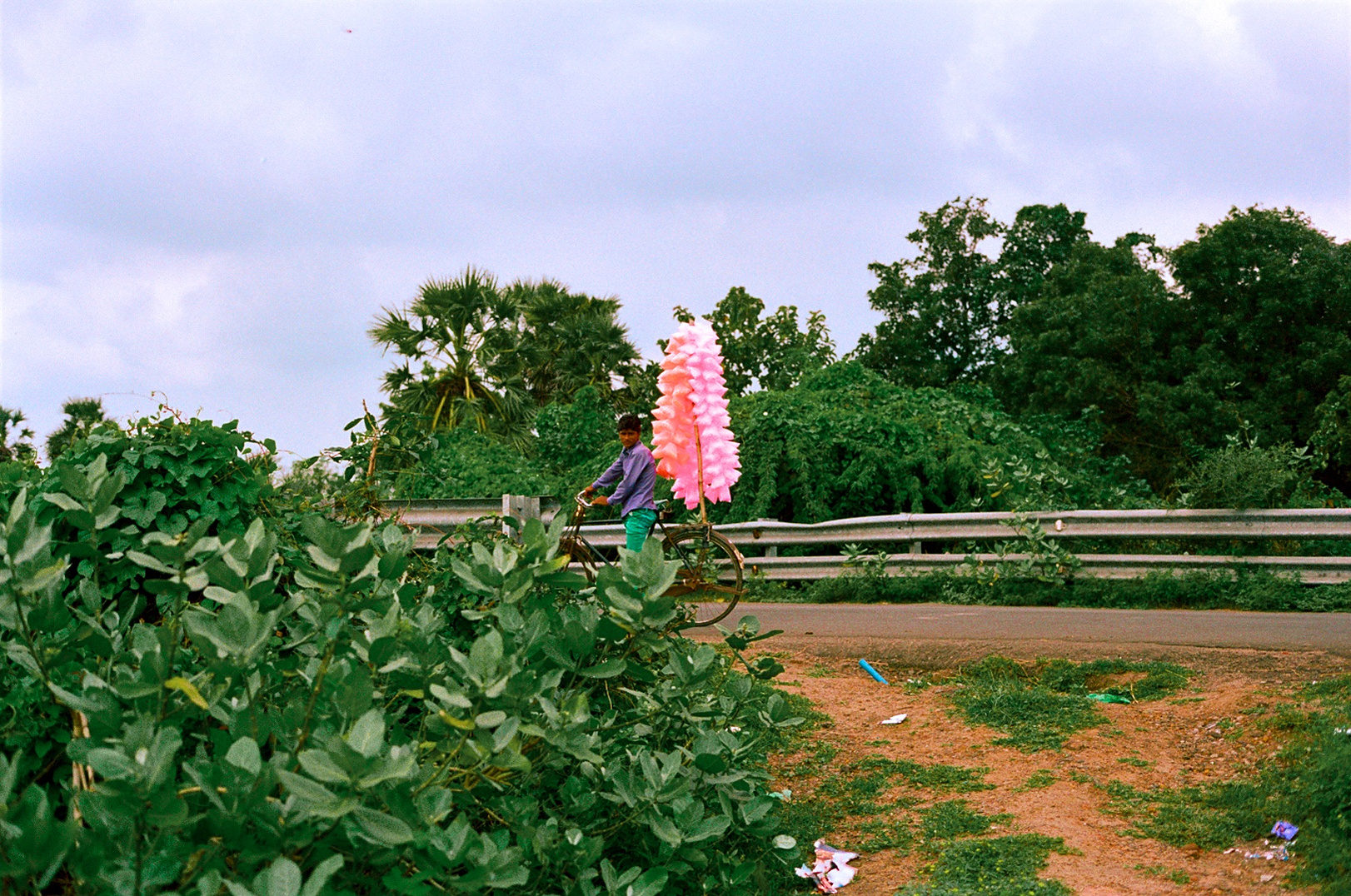 fantasia photograph 14