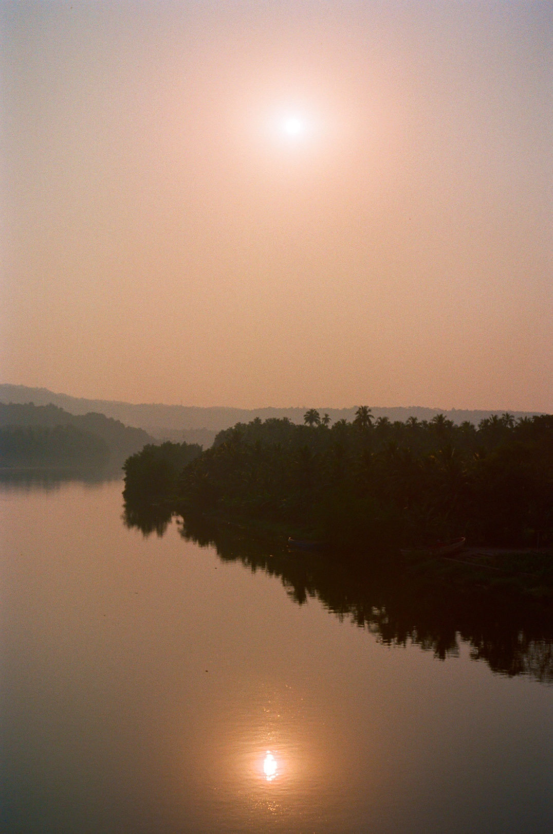 fantasia photograph 24