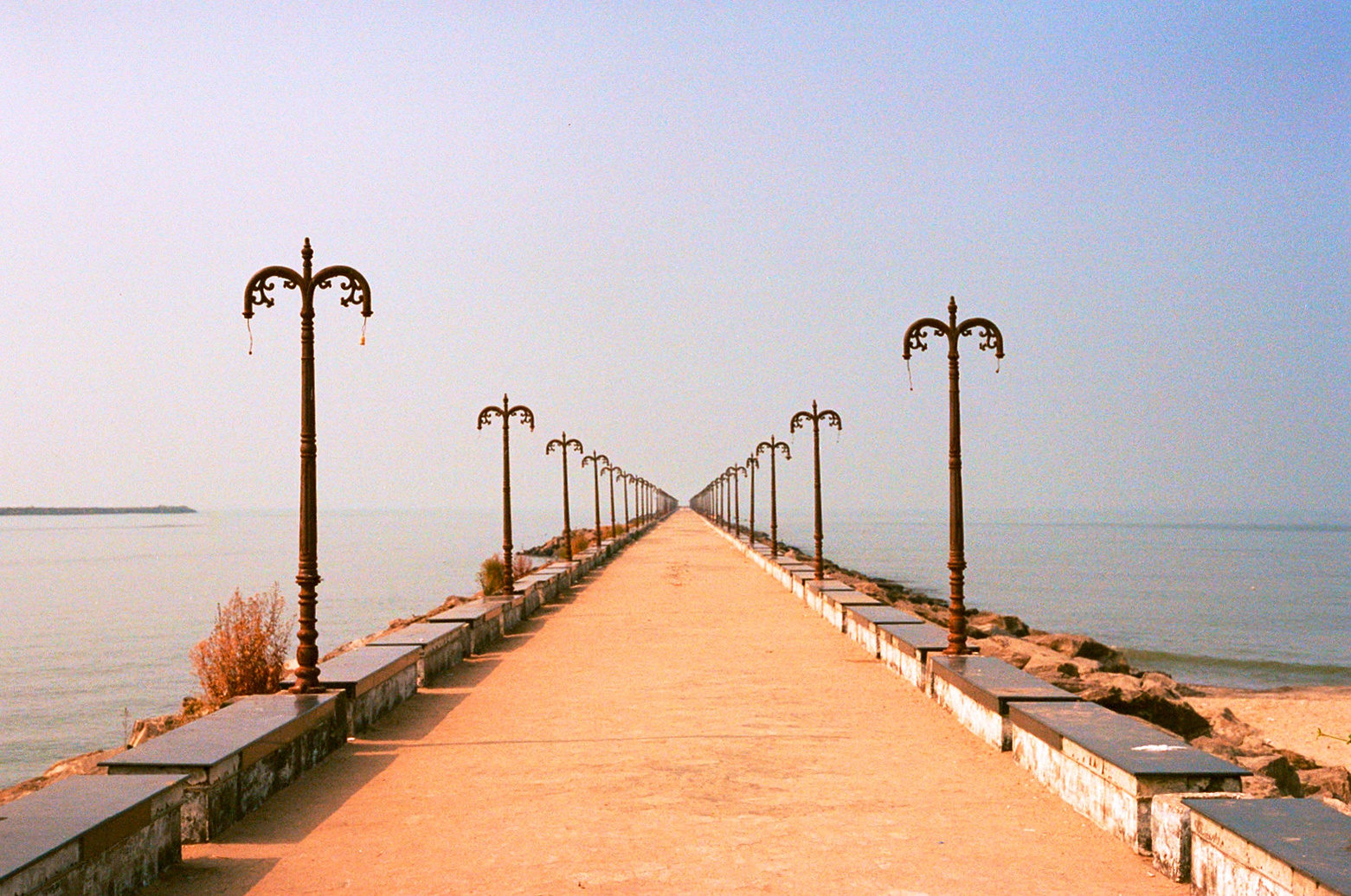 fantasia photograph 26