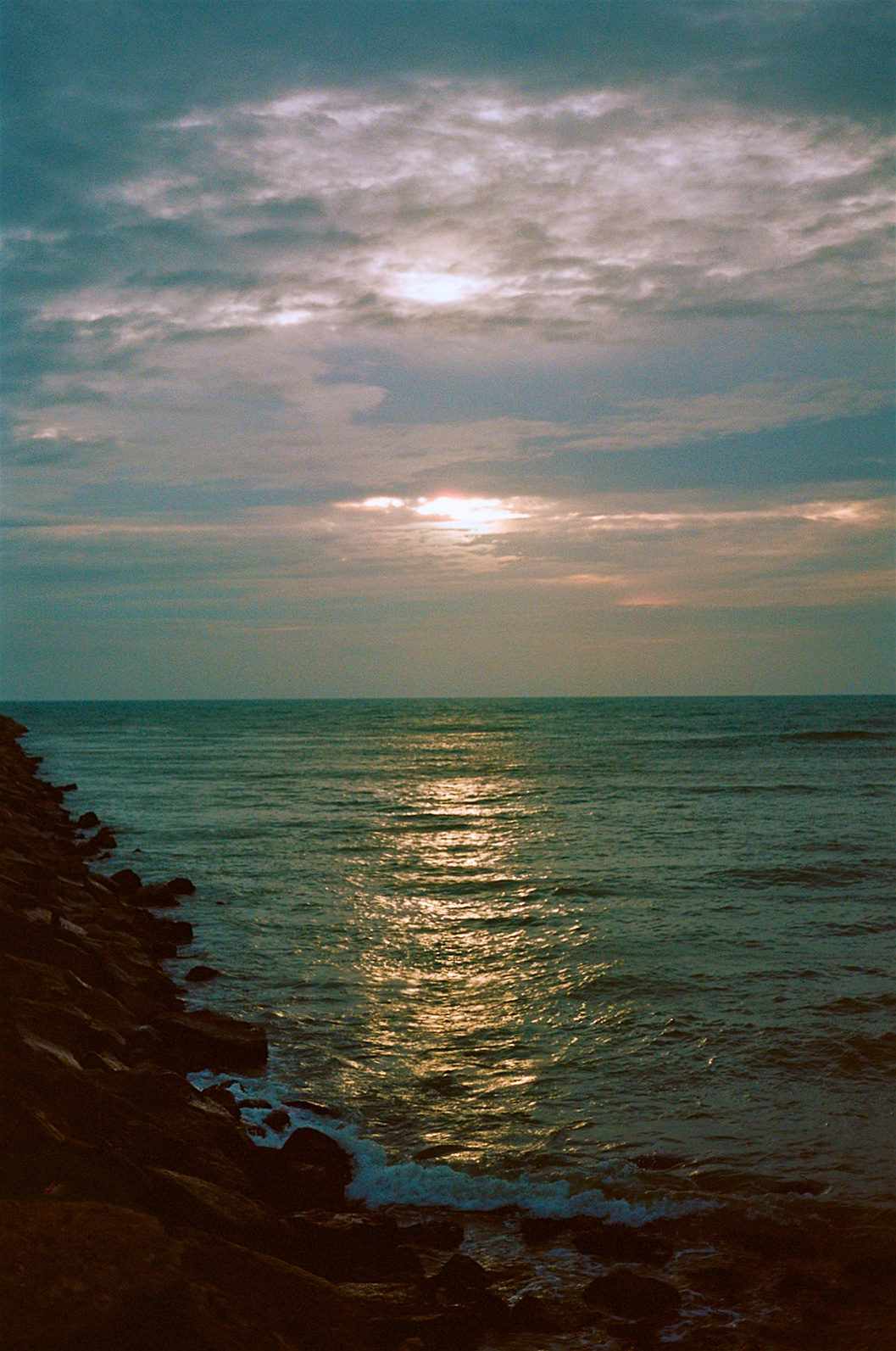 fantasia photograph 27