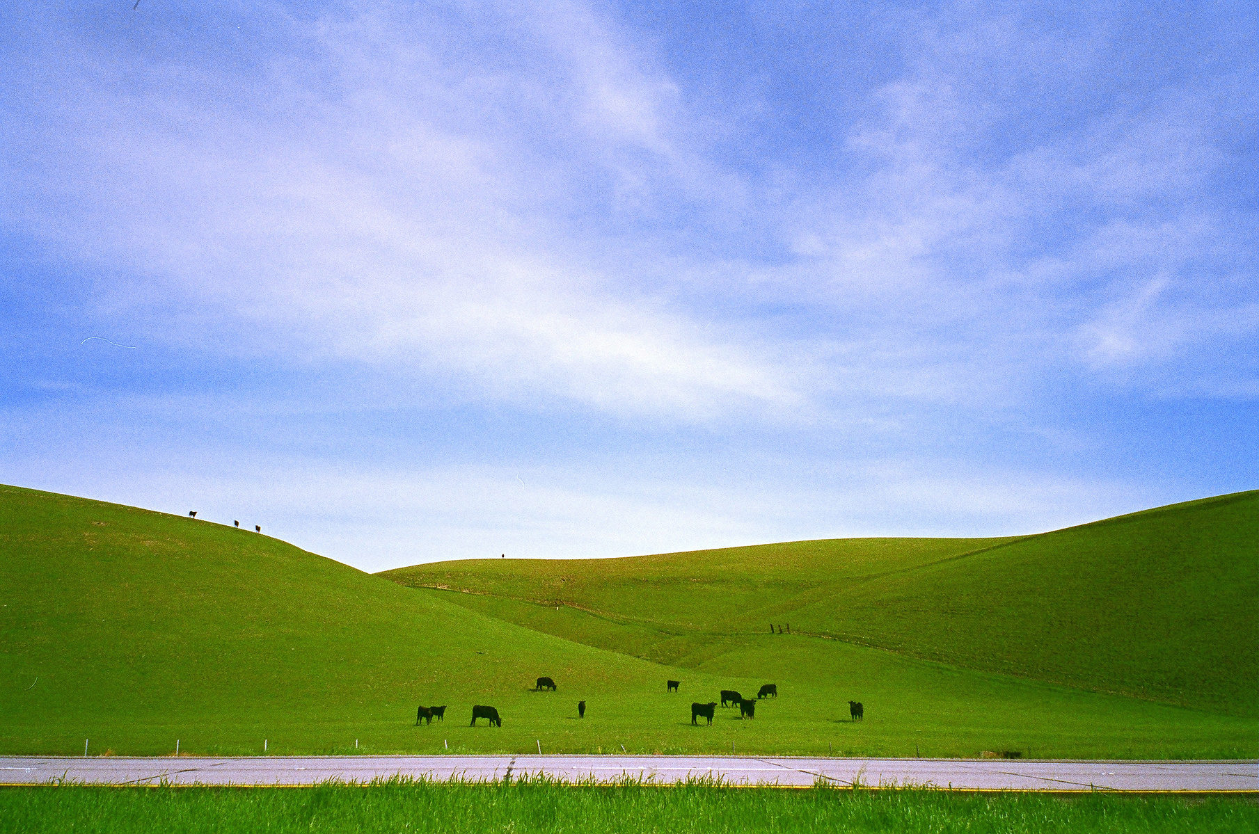 texas photograph 1
