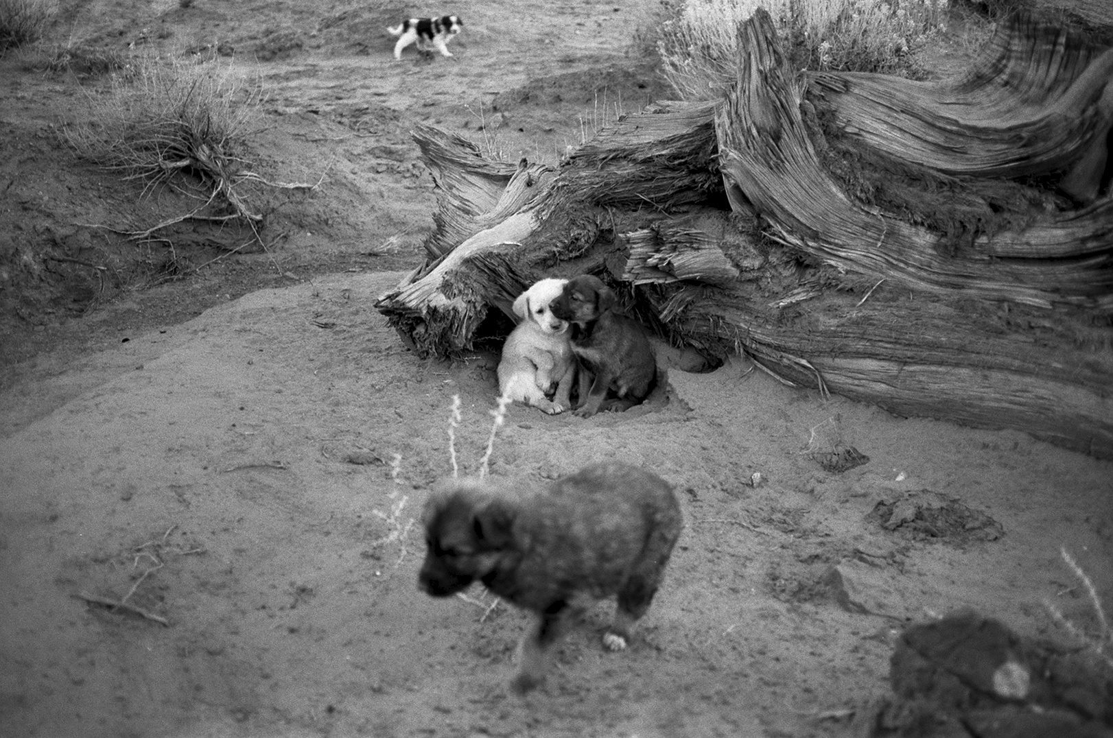 utah photograph 3