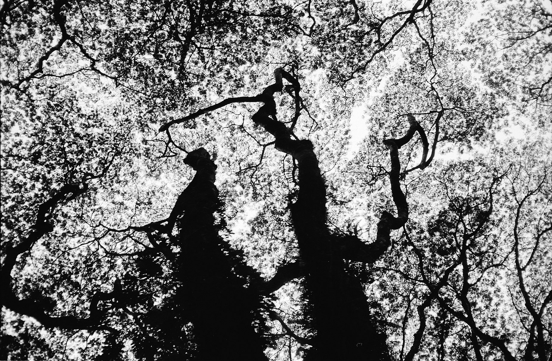 I photograph 2