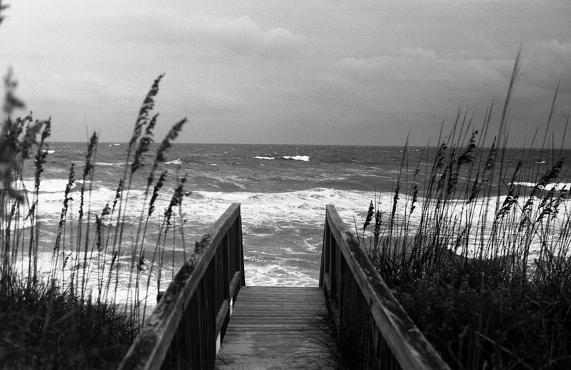 I photograph 5