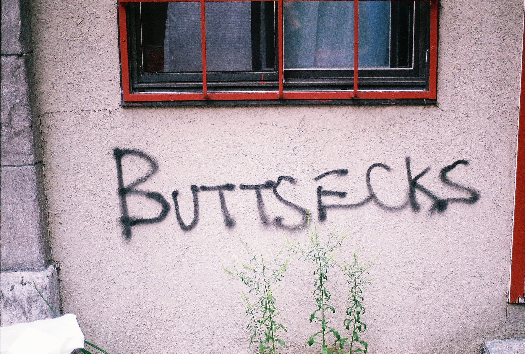 II photograph 11