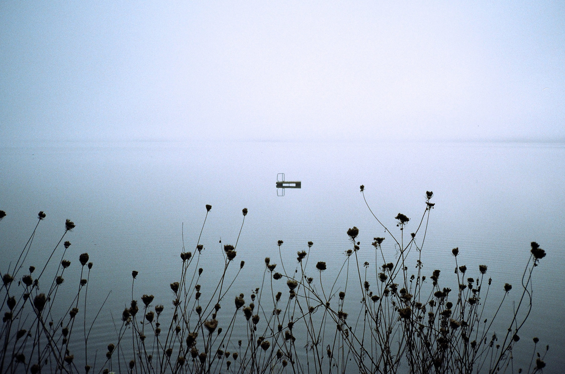II photograph 14