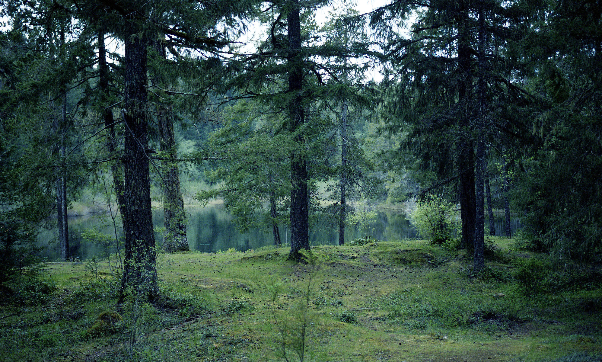 II photograph 16