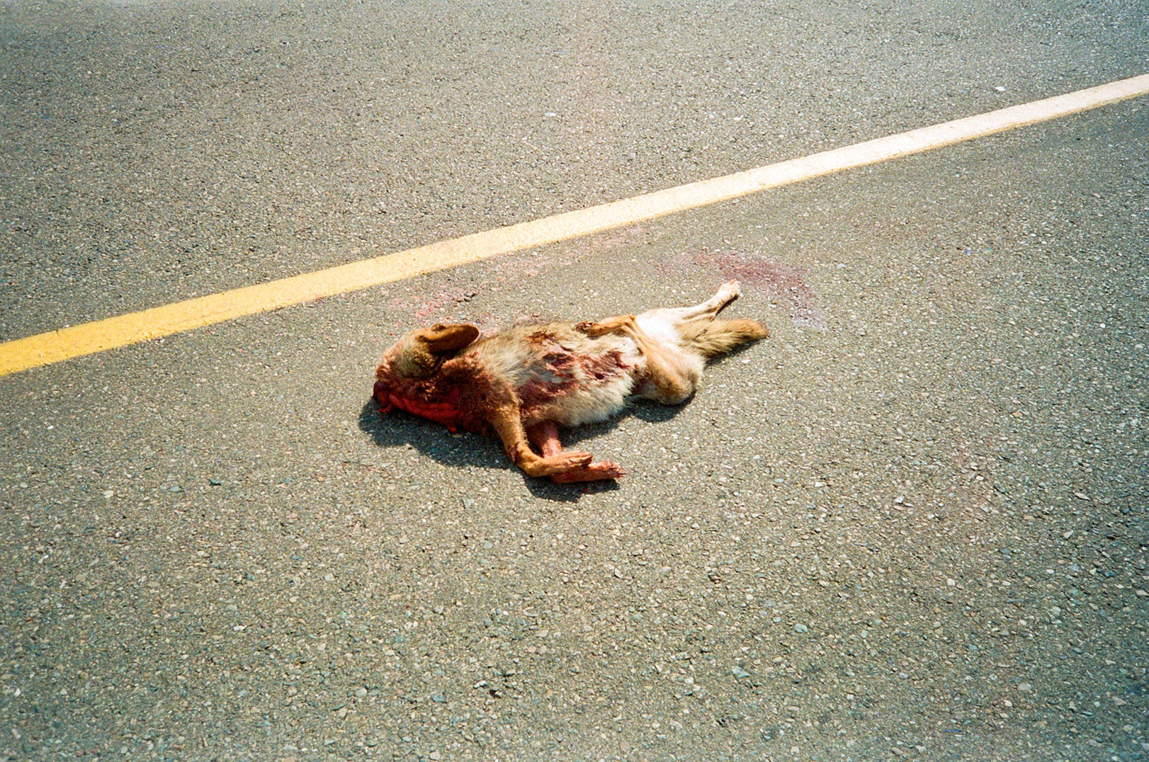 baja photograph 8