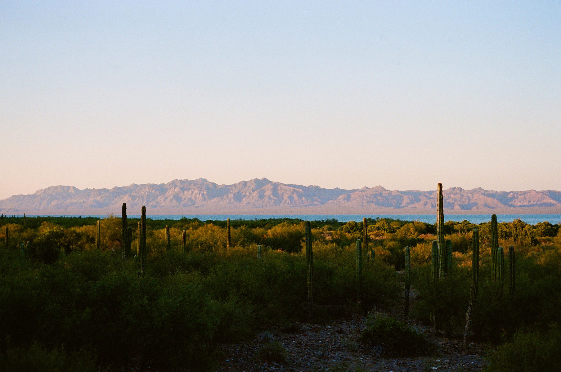 baja photograph 22