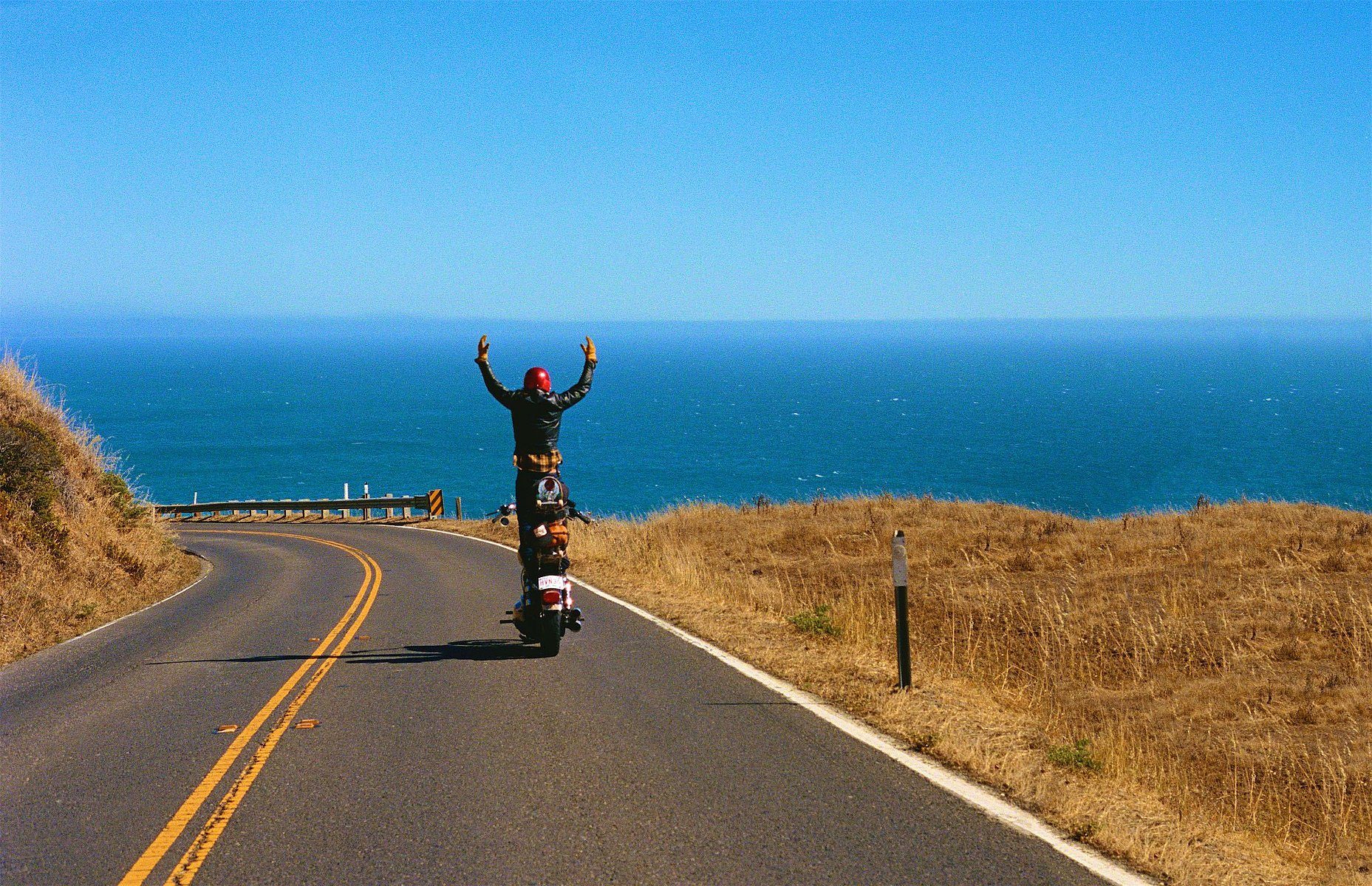 freedom