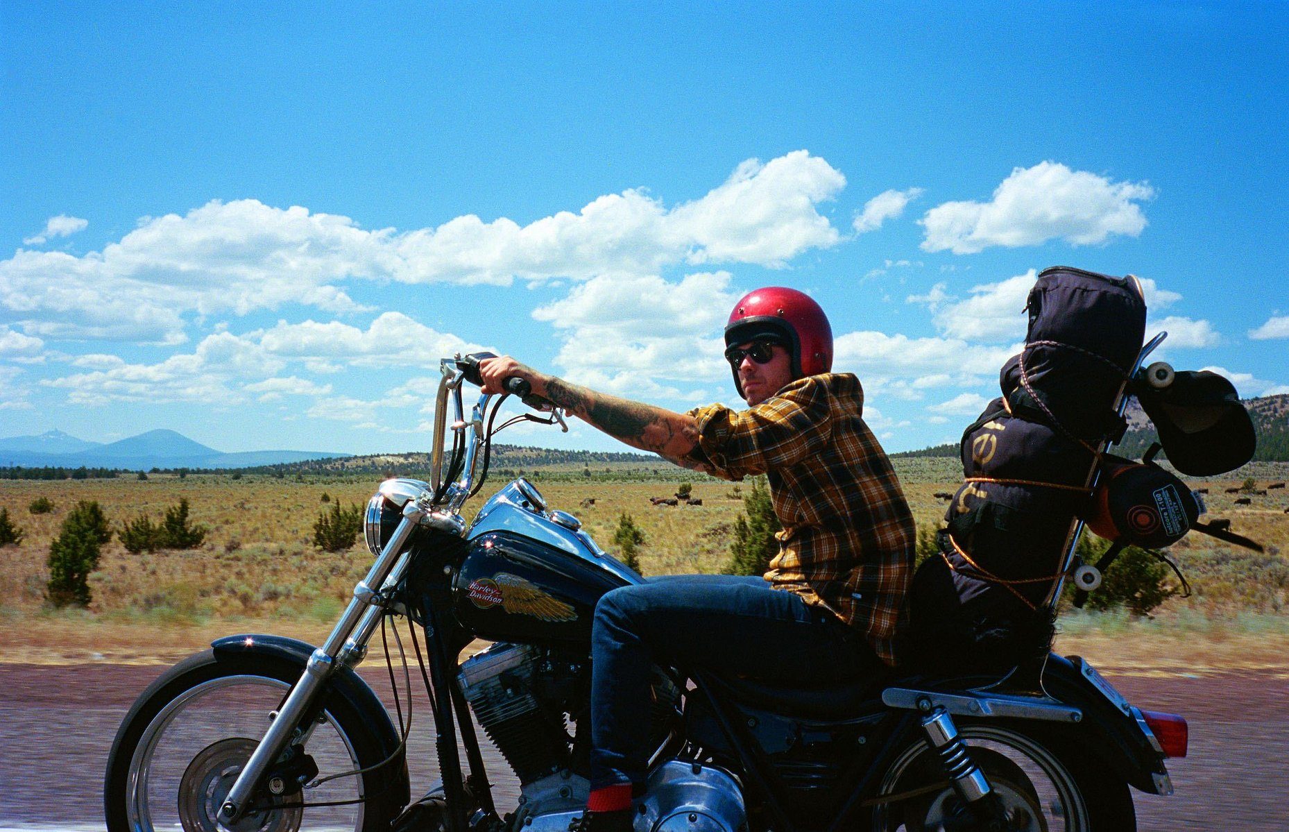 last taste of freedom photograph 10