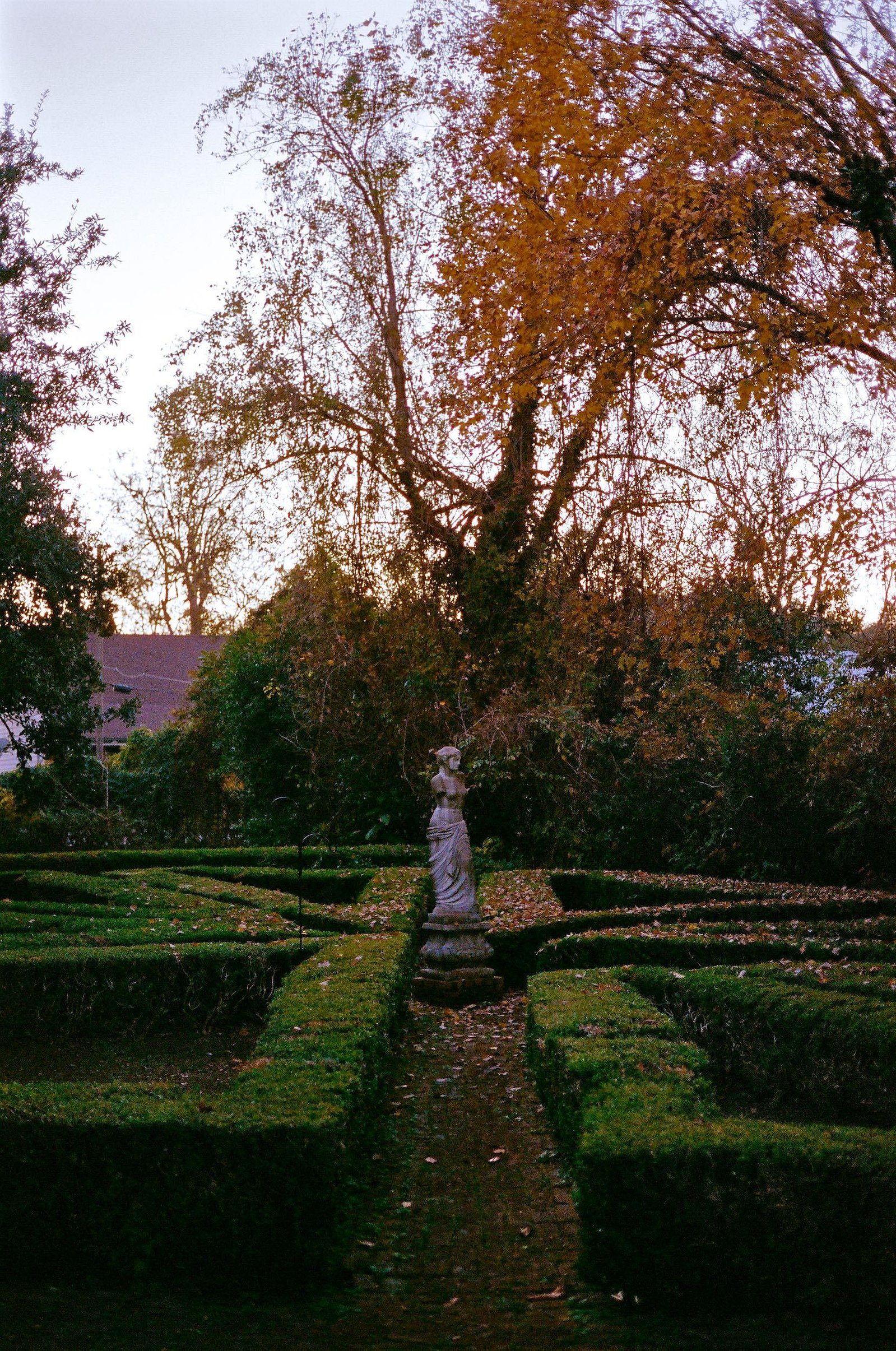 mississippi photograph 30