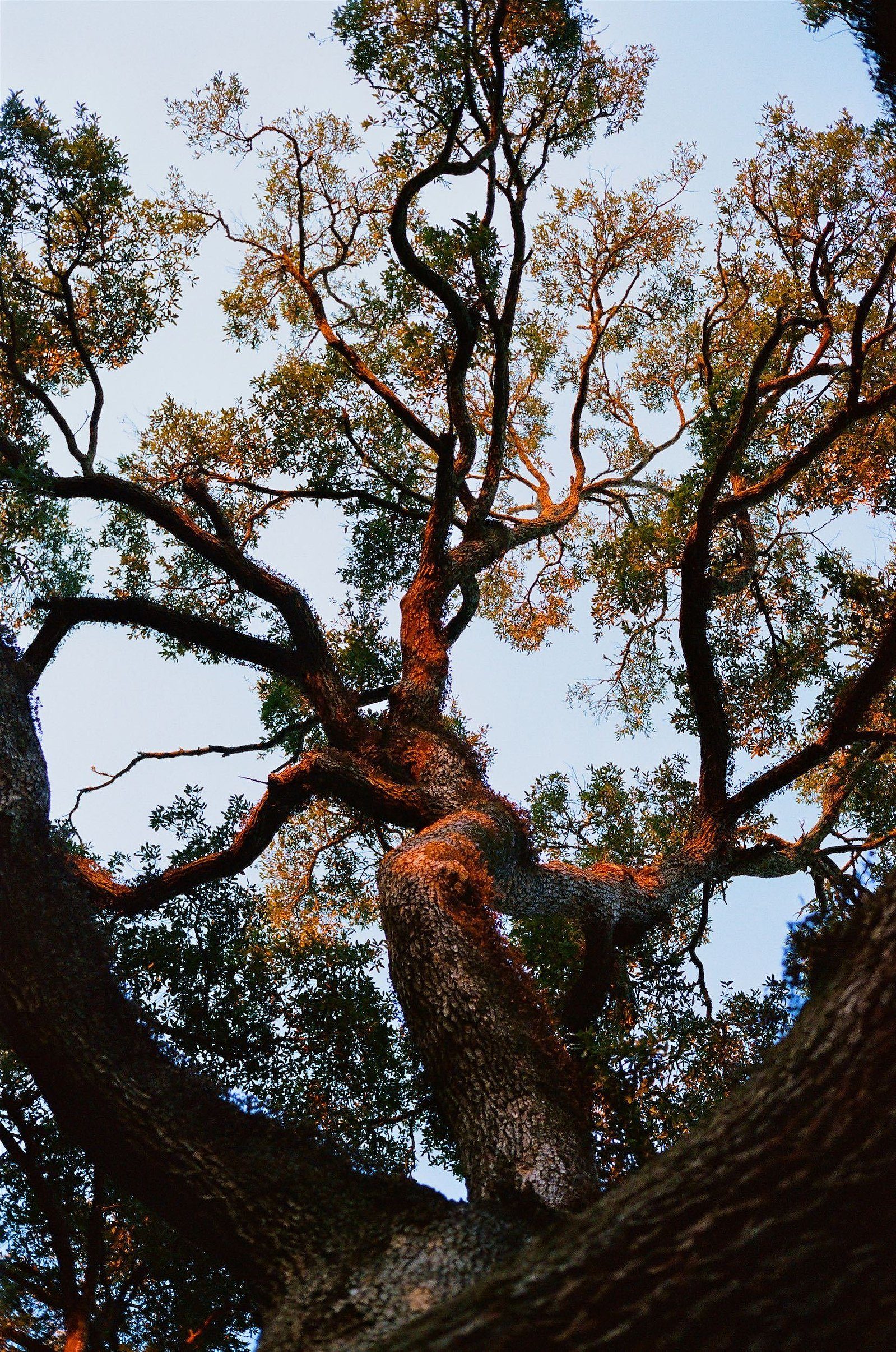 mississippi photograph 31